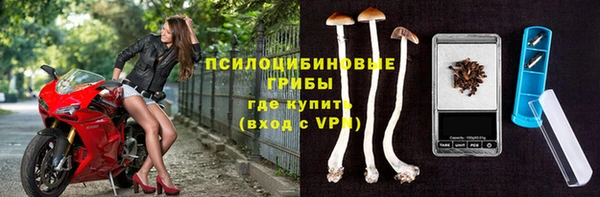 хмурый Козловка