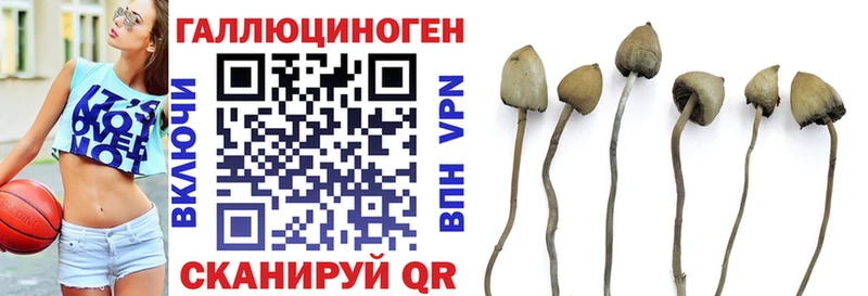 Псилоцибиновые грибы ЛСД  Купить закладки  Бакал 